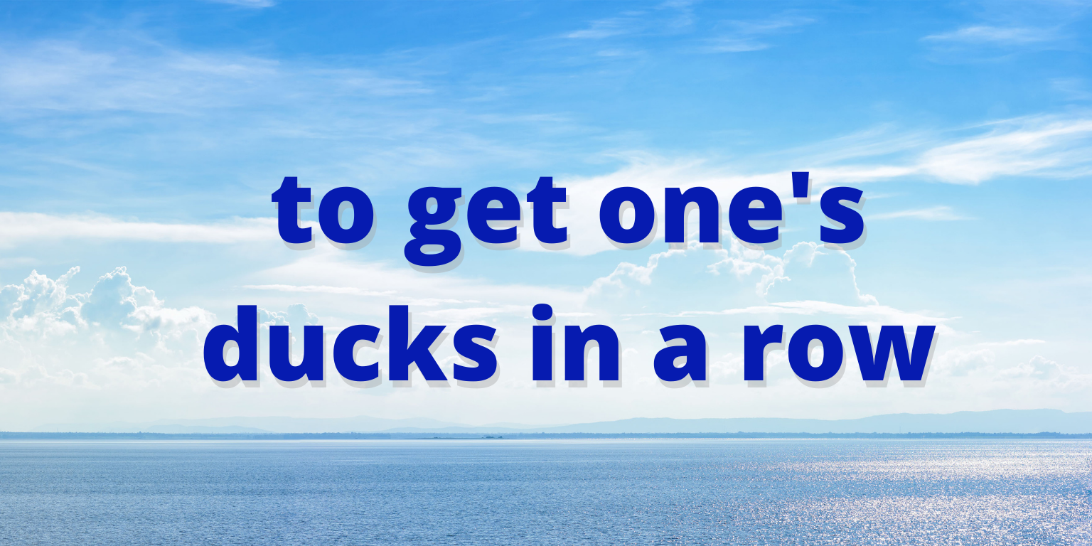 American Idioms get ones ducks in a row Poly Languages Institute